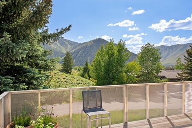 Experience luxury mountain living in this stunning Ketchum home - photo 7