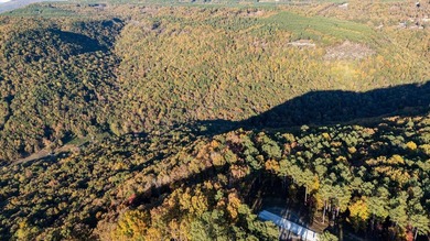 Welcome to Tennessee's Premier Mountain Community River Gorge - photo 15