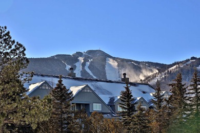 (private lake, pond, creek) Condo For Sale in Killington Vermont