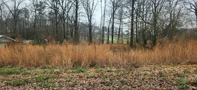 (private lake, pond, coastal) Lot Sale Pending in Calhoun Georgia