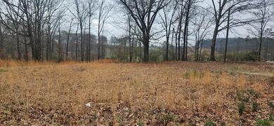 (private lake, pond, coastal) Lot Sale Pending in Calhoun Georgia