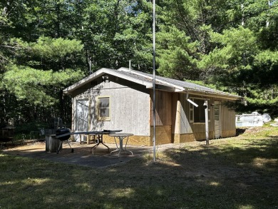 Lake Home For Sale in Irons, Michigan