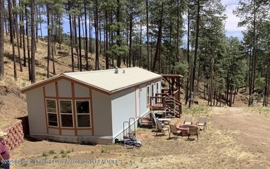 Wonderful opportunity to own 17.54 ac. land in Ruidoso. Live in - photo 1