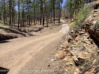 Wonderful opportunity to own 17.54 ac. land in Ruidoso. Live in - photo 2