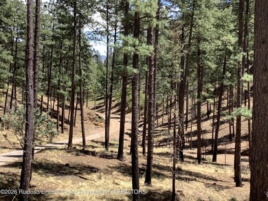 Wonderful opportunity to own 17.54 ac. land in Ruidoso. Live in - photo 3