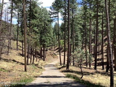 Wonderful opportunity to own 17.54 ac. land in Ruidoso. Live in - photo 4