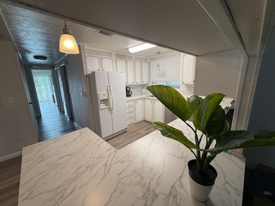 Stunning remodel in Sunny South Estates, 55+ Community, 2BR/2BA - photo 10