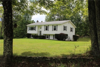 Lake Home For Sale in Walton, New York