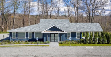 Lake Commercial For Sale in Wingdale, New York