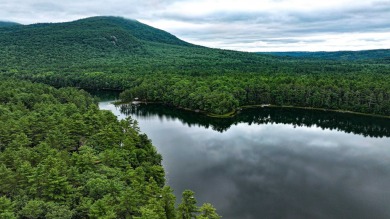Long Pond - Oxford County Acreage For Sale in Denmark Maine