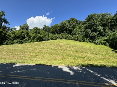 2.35-acre opportunity in Sunset Bay! Lots 403R and 404R are - photo 3