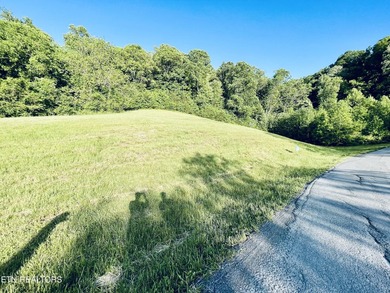 2.35-acre opportunity in Sunset Bay! Lots 403R and 404R are - photo 5