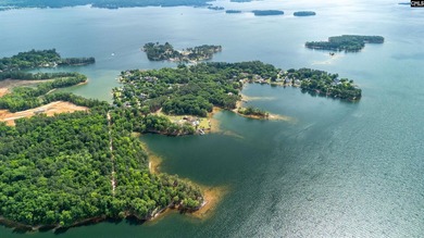 Almost Heaven Estates - Lake Murray's Most Exclusive Waterfront - photo 8