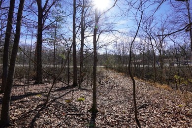 Take a closer look at this 1.3 acre property fronting Donelson - photo 4