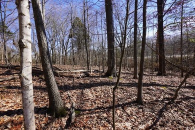 Take a closer look at this 1.3 acre property fronting Donelson - photo 5