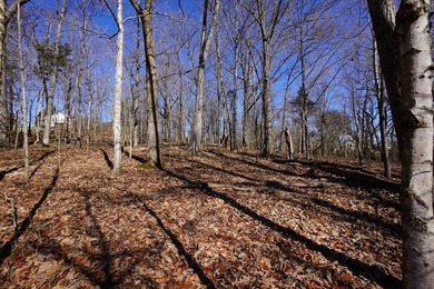 Take a closer look at this 1.3 acre property fronting Donelson - photo 6