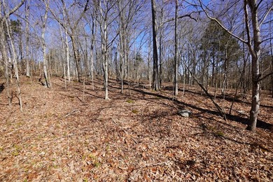 Take a closer look at this 1.3 acre property fronting Donelson - photo 7