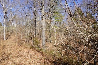 Take a closer look at this 1.3 acre property fronting Donelson - photo 8