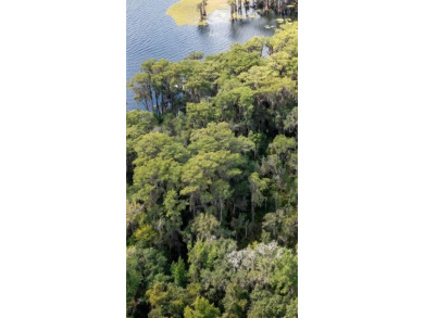 Lake Acreage For Sale in Earleton, Florida