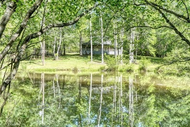Lake Home For Sale in Brasstown, North Carolina