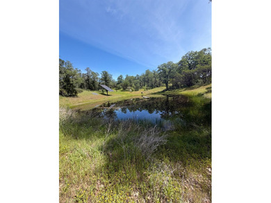Tucked away in total privacy, this stunning 20-acre property - photo 7