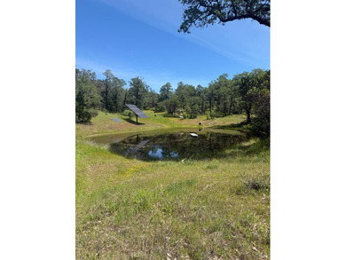 Tucked away in total privacy, this stunning 20-acre property - photo 8
