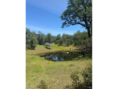 Tucked away in total privacy, this stunning 20-acre property - photo 9