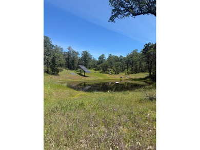 Tucked away in total privacy, this stunning 20-acre property - photo 10