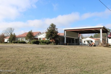 6,451 sf 3 bedroom, 3 bath home situated on 5.4 acres of land - photo 5