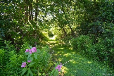 Welcome home to this beautifully updated ranch nestled on 3.1 - photo 32