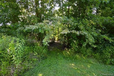 Welcome home to this beautifully updated ranch nestled on 3.1 - photo 33