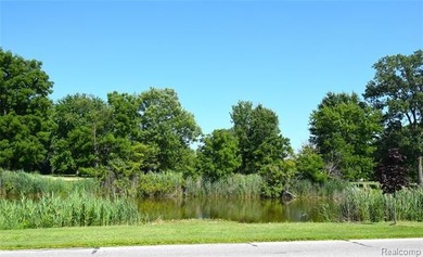 Welcome home to this beautifully updated ranch nestled on 3.1 - photo 37