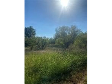 Great corner lot in development with little restrictions. Just - photo 4