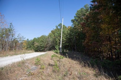 This almost 6-acre parcel in Overton, TN, offers a rare - photo 4