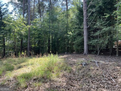 Lake Hartwell Lot For Sale in Hartwell Georgia