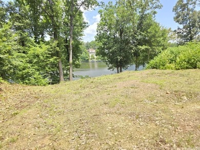LOT FOR SALE overlooking NLR Lake #1 with most excavation - photo 12