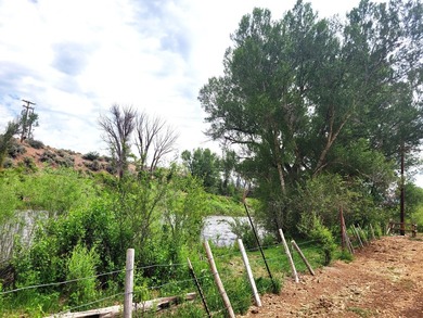 Welcome to the Seago Development Ranch. This amazing property - photo 13