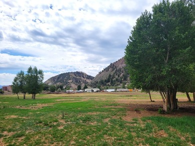 Welcome to the Seago Development Ranch. This amazing property - photo 14