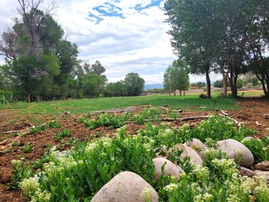 Welcome to the Seago Development Ranch. This amazing property - photo 15