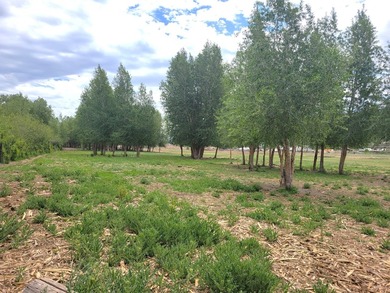 Welcome to the Seago Development Ranch. This amazing property - photo 16