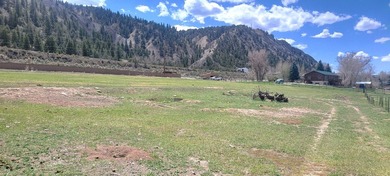 Welcome to the Seago Development Ranch. This amazing property - photo 19
