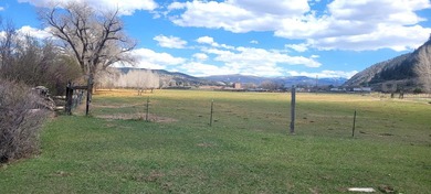 Welcome to the Seago Development Ranch. This amazing property - photo 29