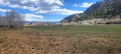 Welcome to the Seago Development Ranch. This amazing property - photo 33