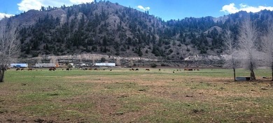 Welcome to the Seago Development Ranch. This amazing property - photo 34