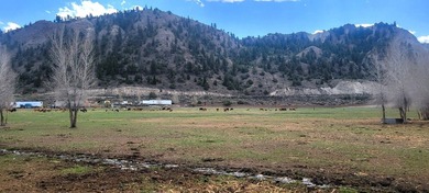 Welcome to the Seago Development Ranch. This amazing property - photo 36