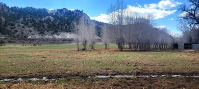 Welcome to the Seago Development Ranch. This amazing property - photo 37