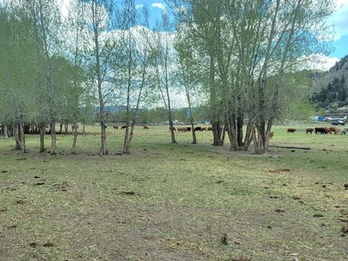 Welcome to the Seago Development Ranch. This amazing property - photo 42