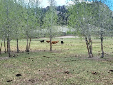Welcome to the Seago Development Ranch. This amazing property - photo 43