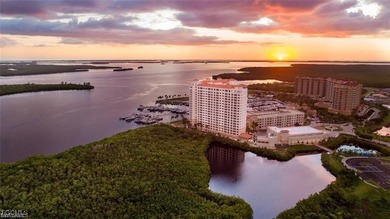 Boater's Paradise! Welcome to this DIRECT GULF ACCESS pool home - photo 49