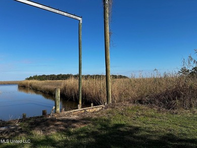 TRUE WATERFRONT DEEP WATER ACCESS PROPERTY ON THE PASCAGOULA - photo 1
